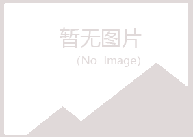 铁岭清河紫山制造有限公司